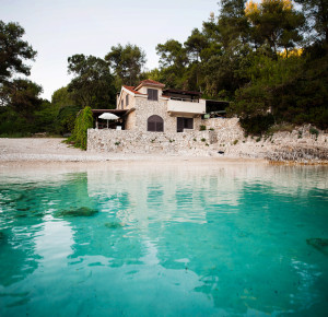Žitna